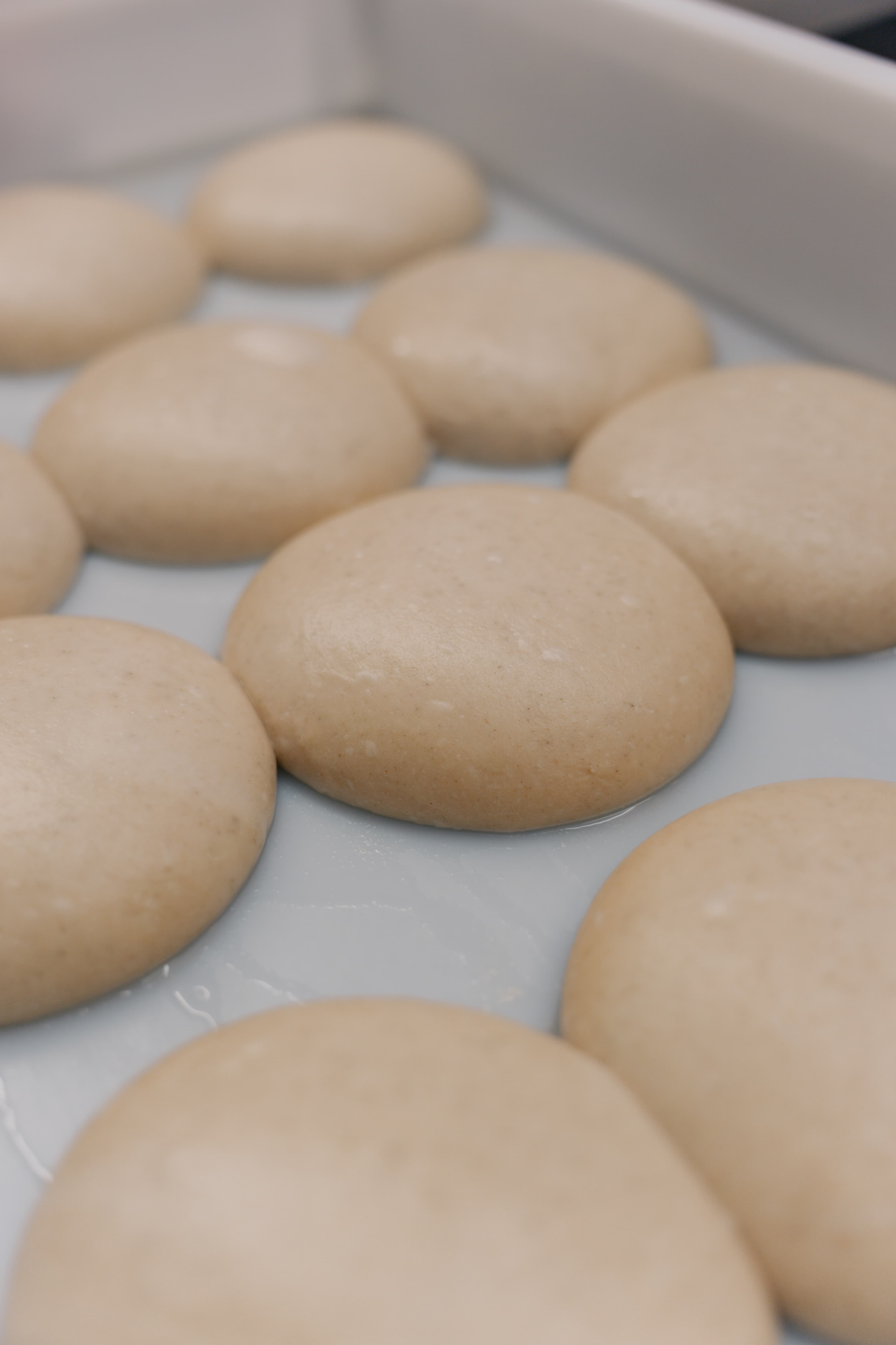 Impasto Perfetto a Lunga Lievitazione